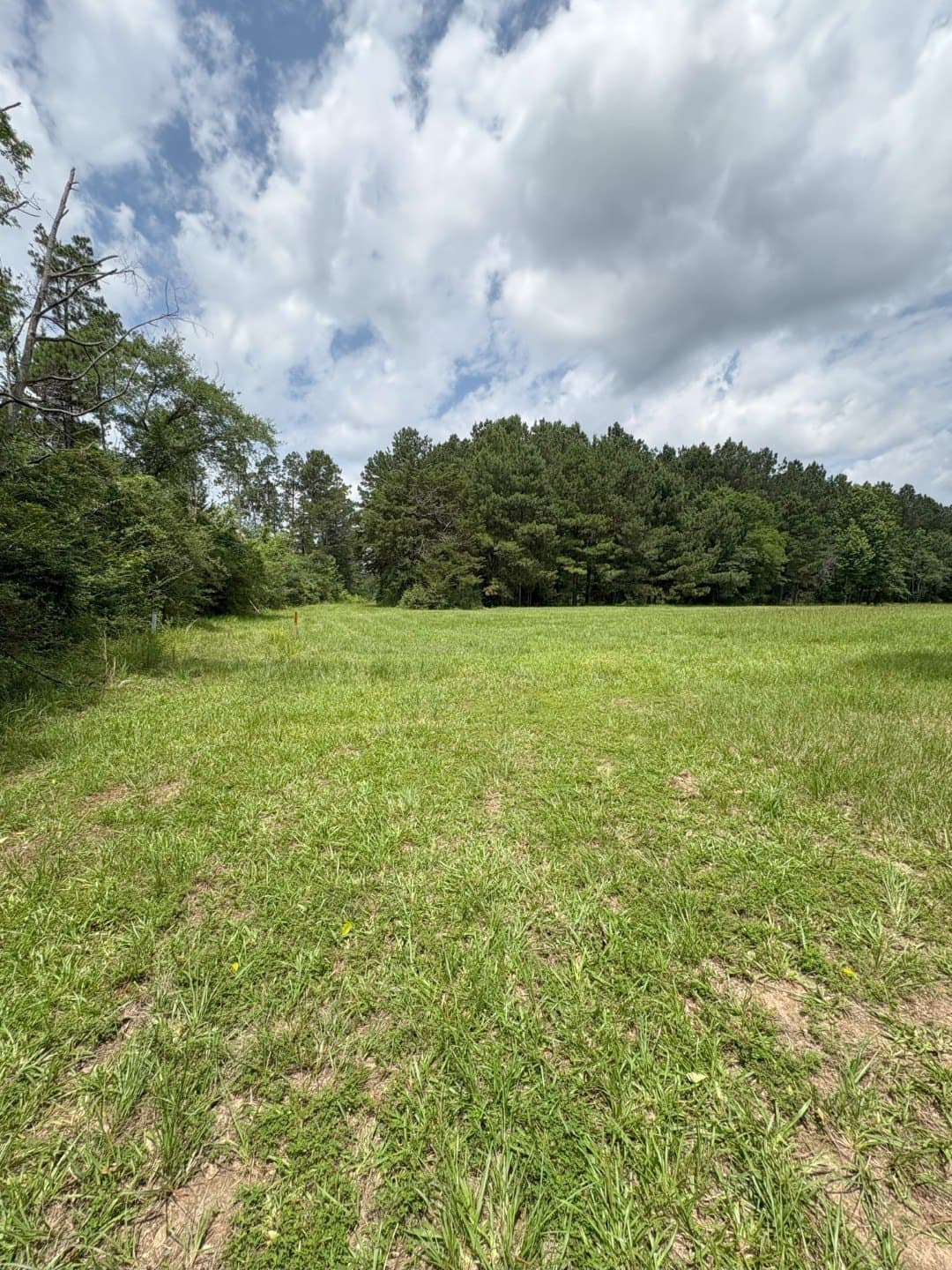 32.25 acres in Panola County - photo 9