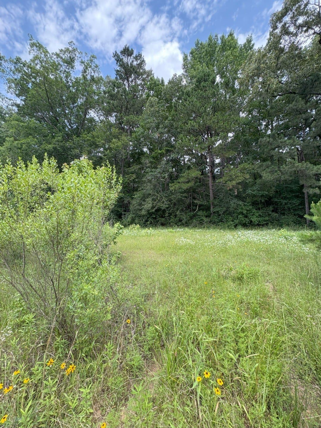 32.25 acres in Panola County - photo 2