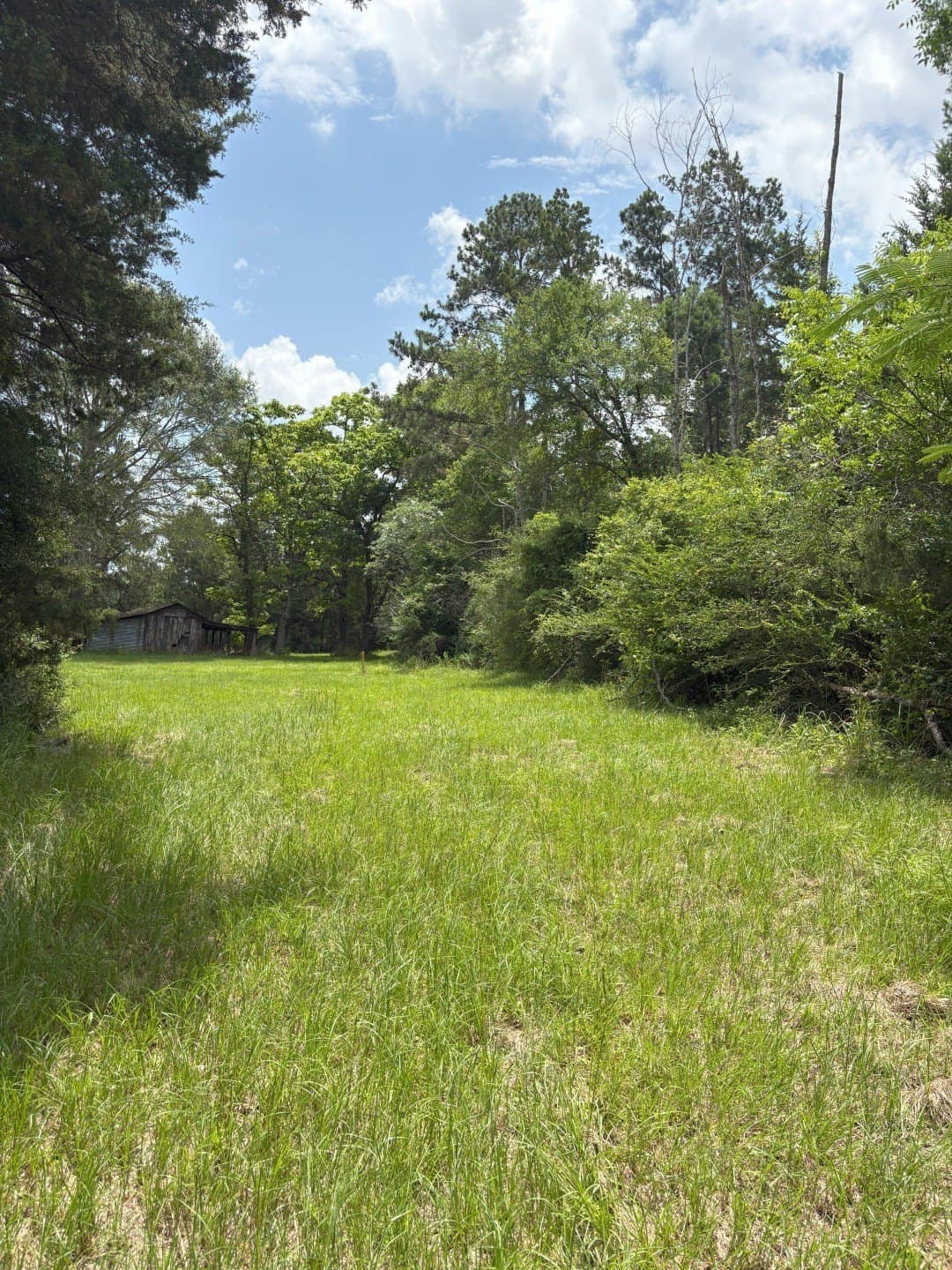 32.25 acres in Panola County - photo 12