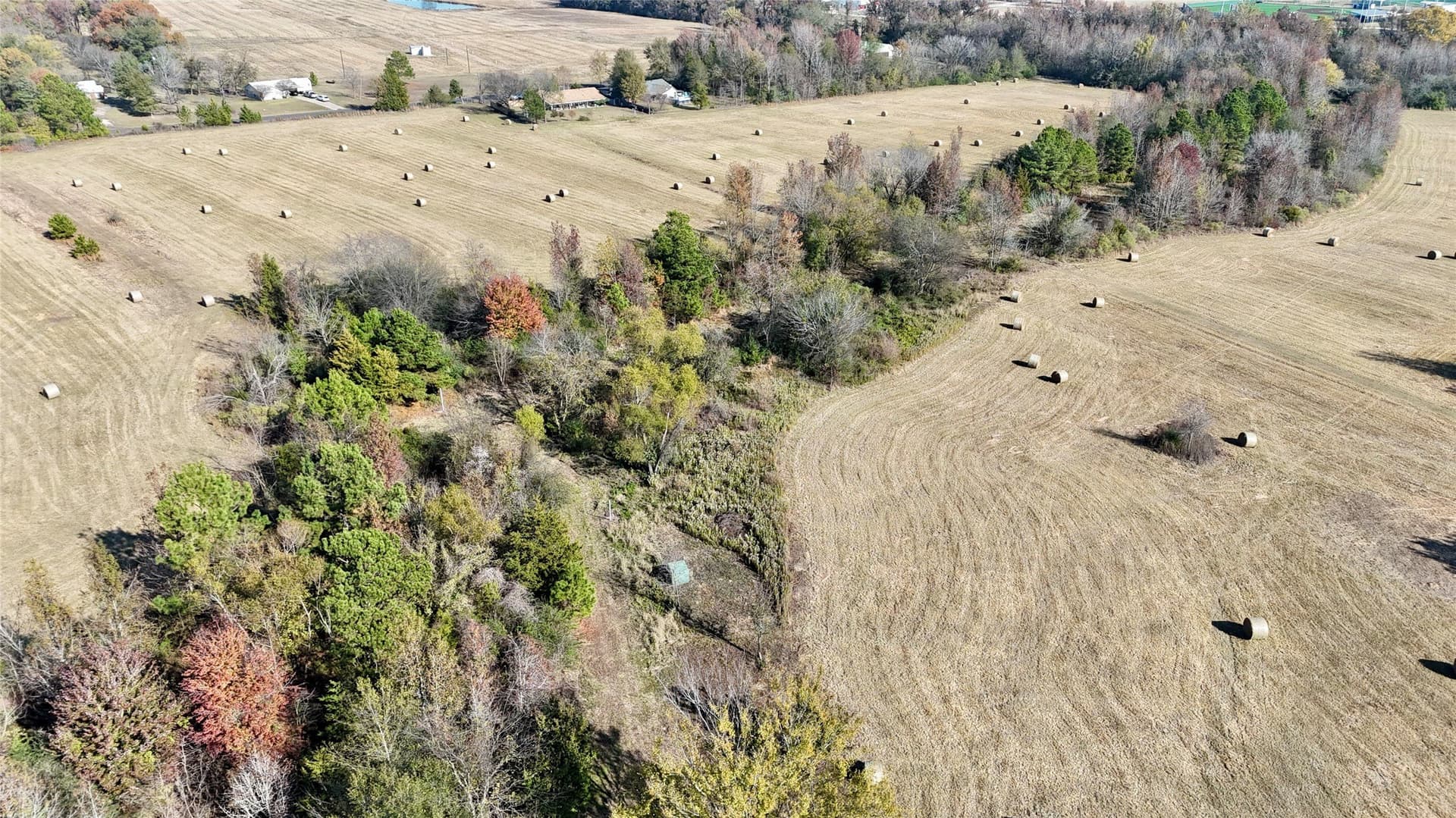 56.97 acres in Wood County - photo 7