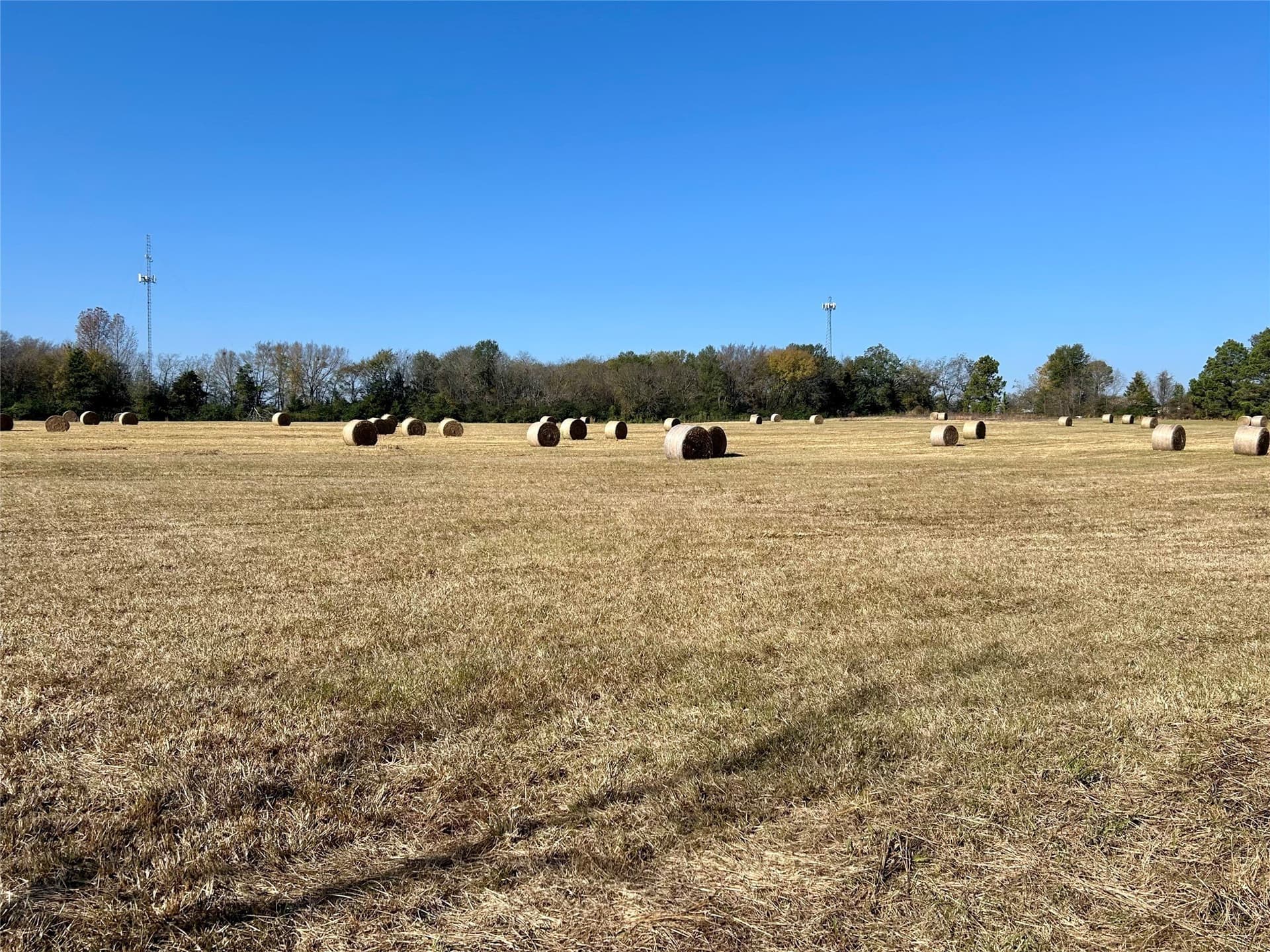 56.97 acres in Wood County - photo 19