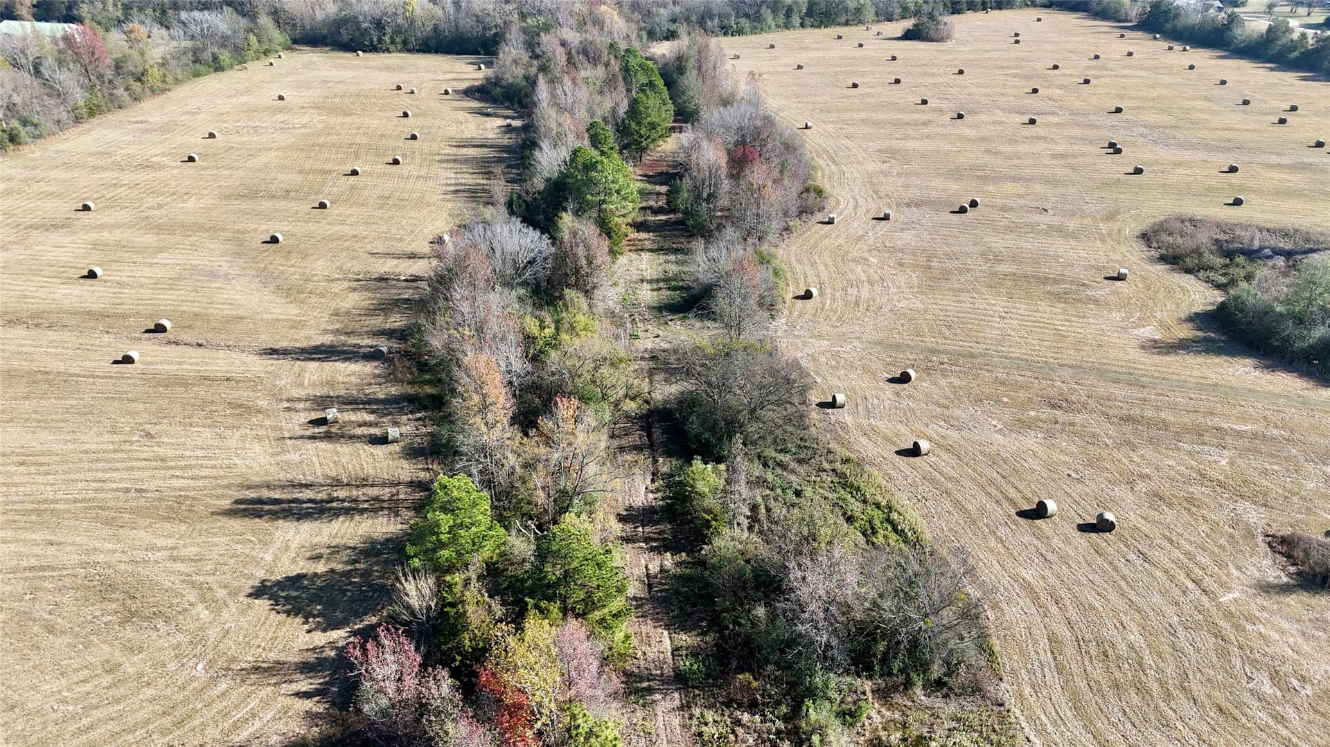 56.97 acres in Wood County - photo 5
