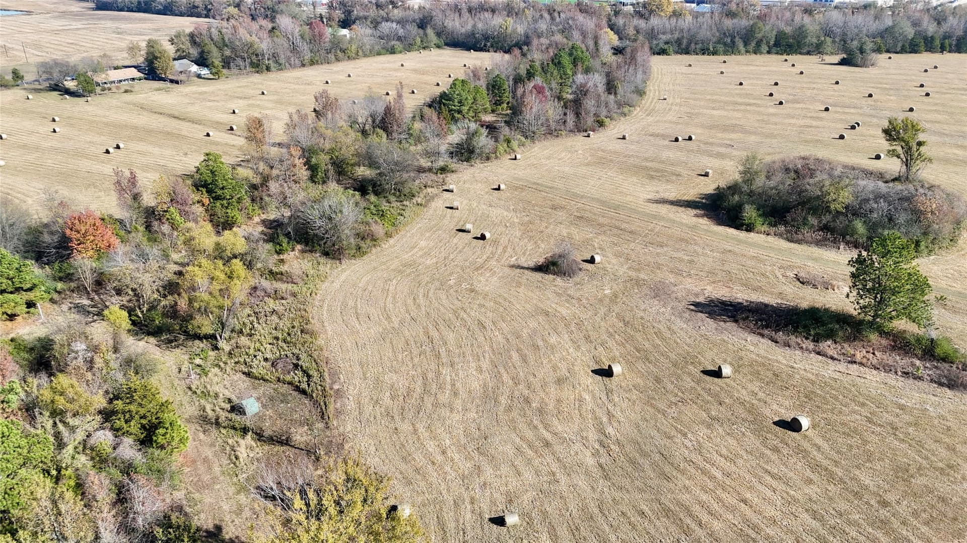 56.97 acres in Wood County - photo 13