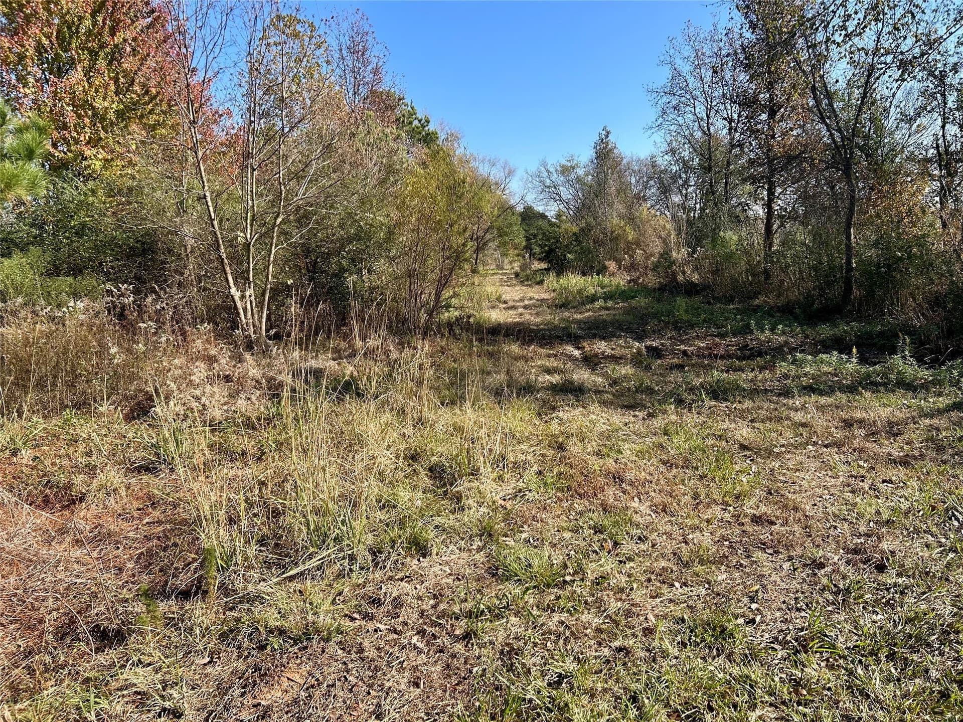 56.97 acres in Wood County - photo 16
