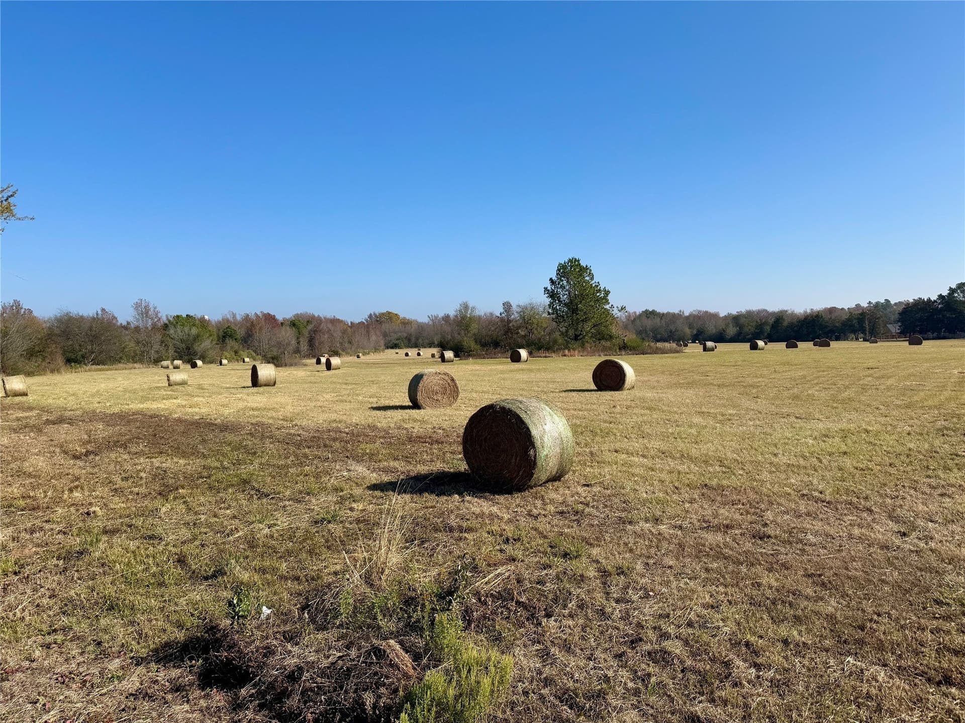 56.97 acres in Wood County - photo 20