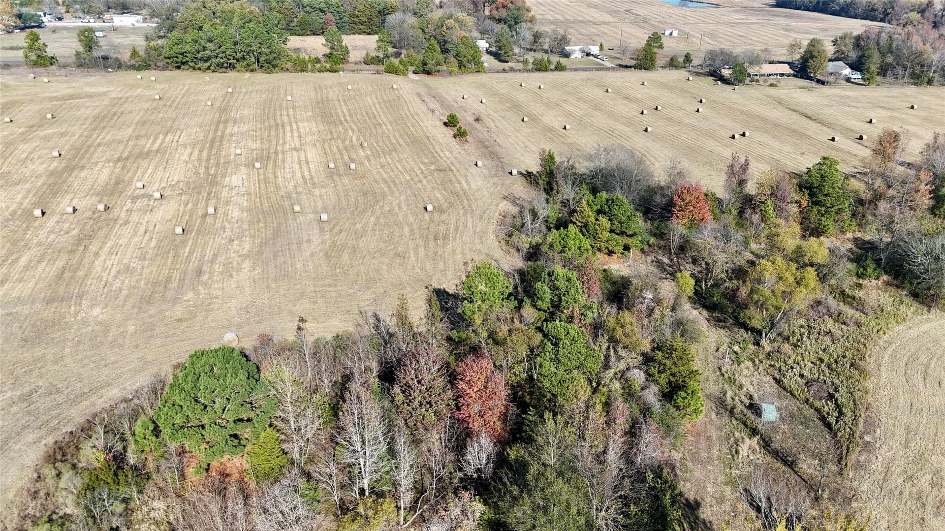 56.97 acres in Wood County - photo 14
