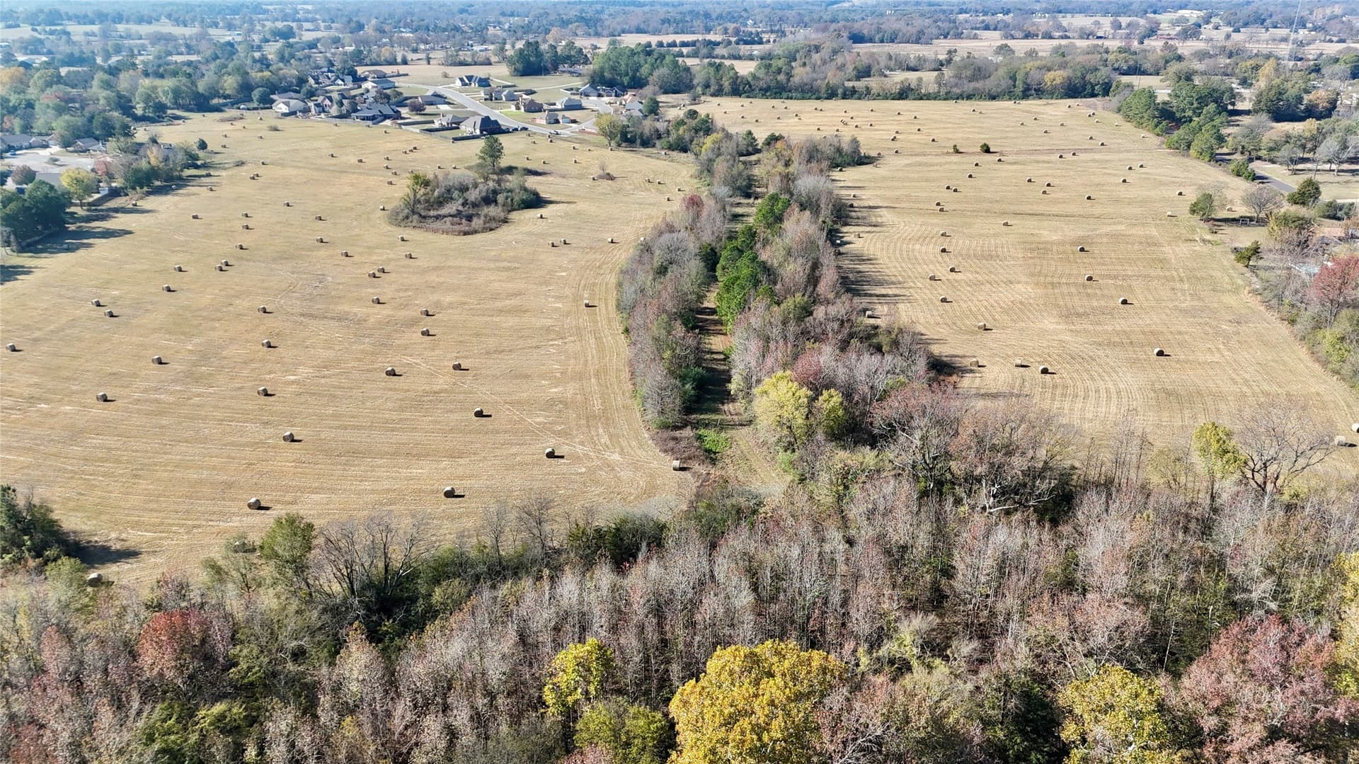 56.97 acres in Wood County - photo 8
