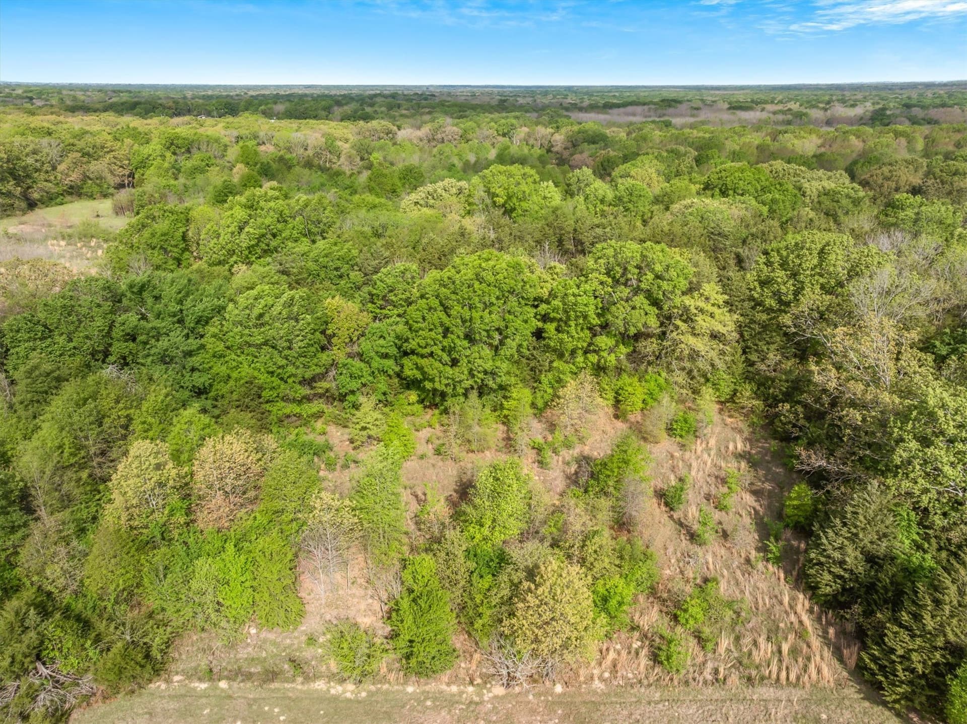 28.51 acres in Van Zandt County - photo 13