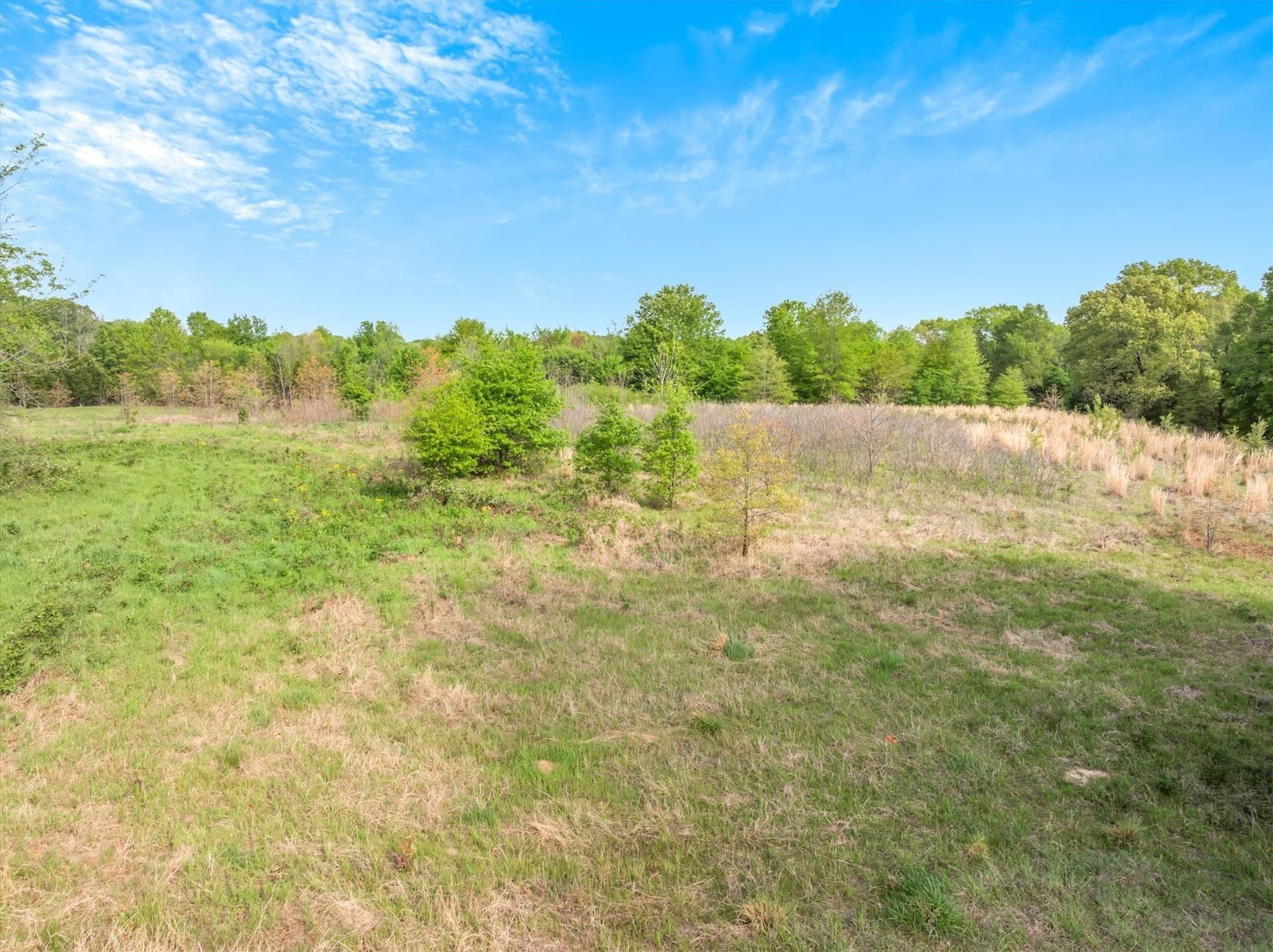 28.51 acres in Van Zandt County - photo 9