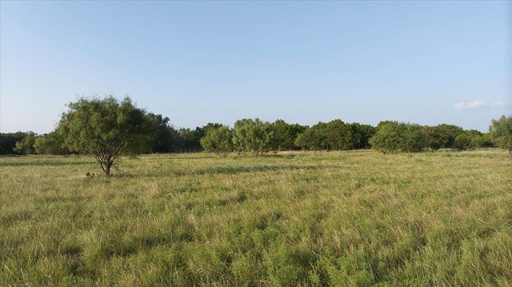 33 acres in Menard County - photo 36