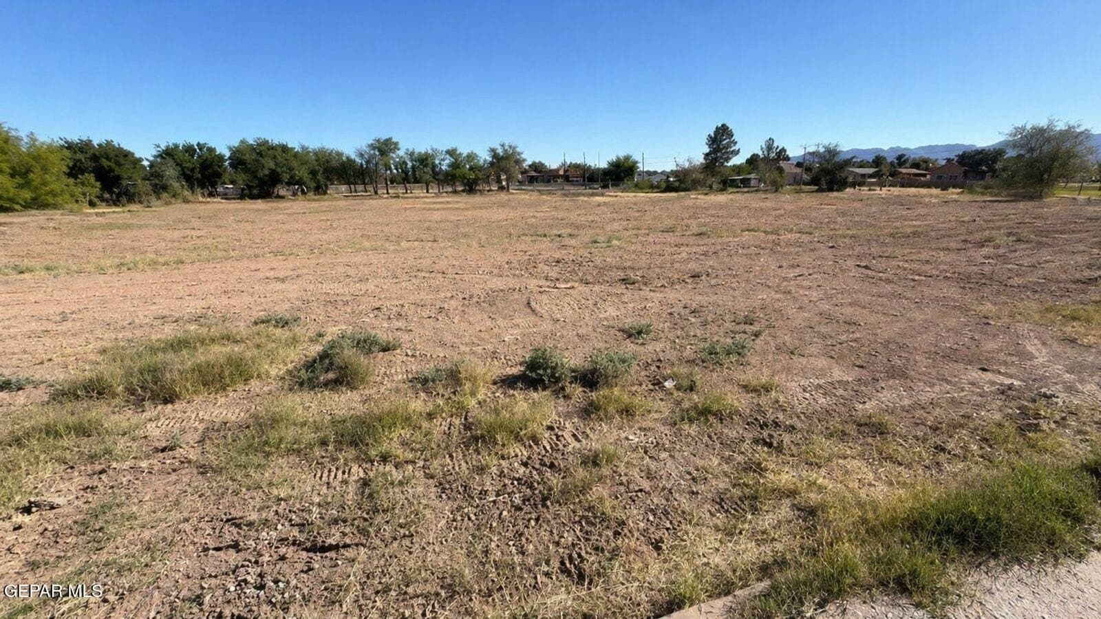 0.29 acres in El Paso County gallery image 2