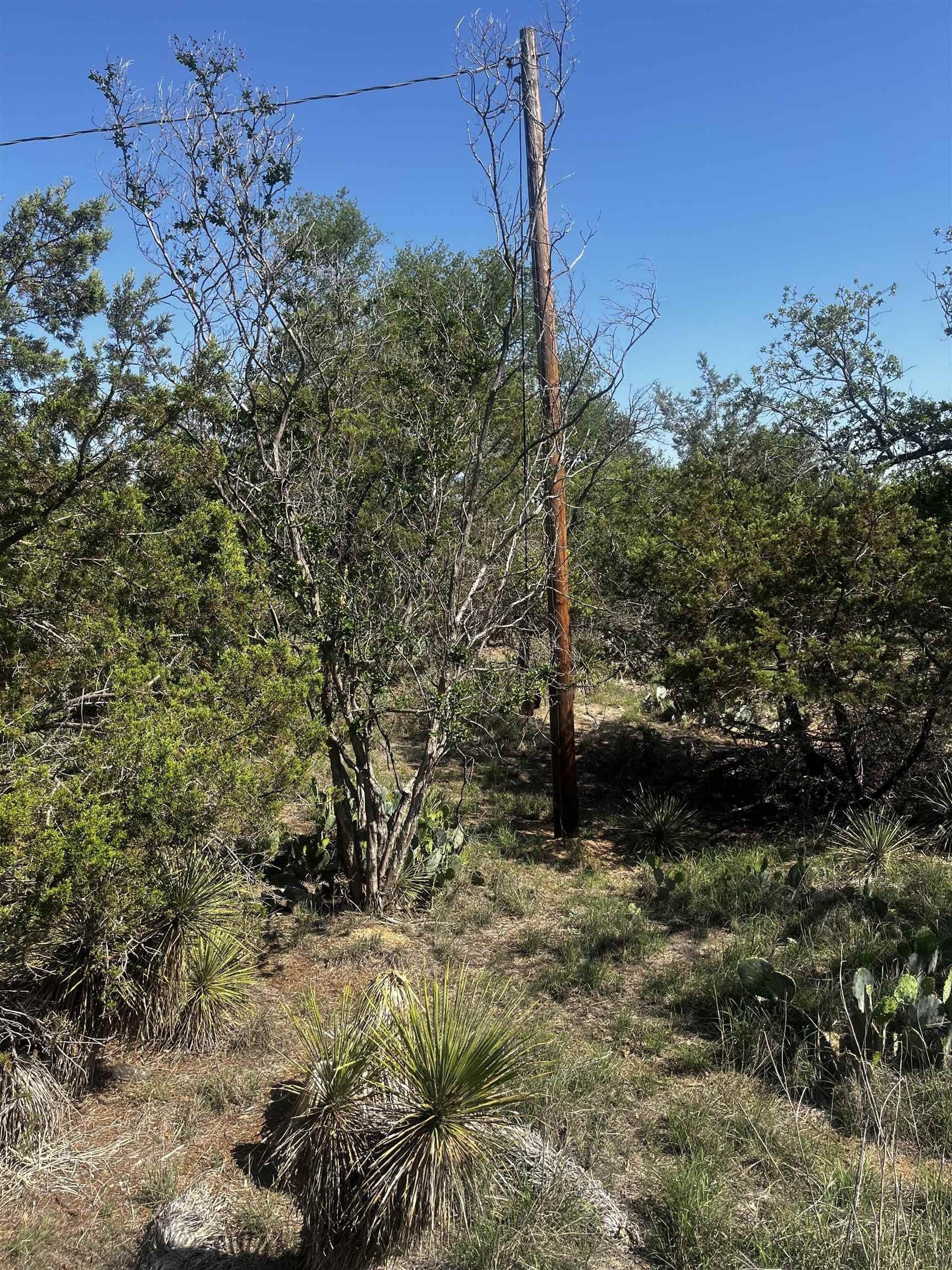 0.55 acres in Burnet County - photo 7