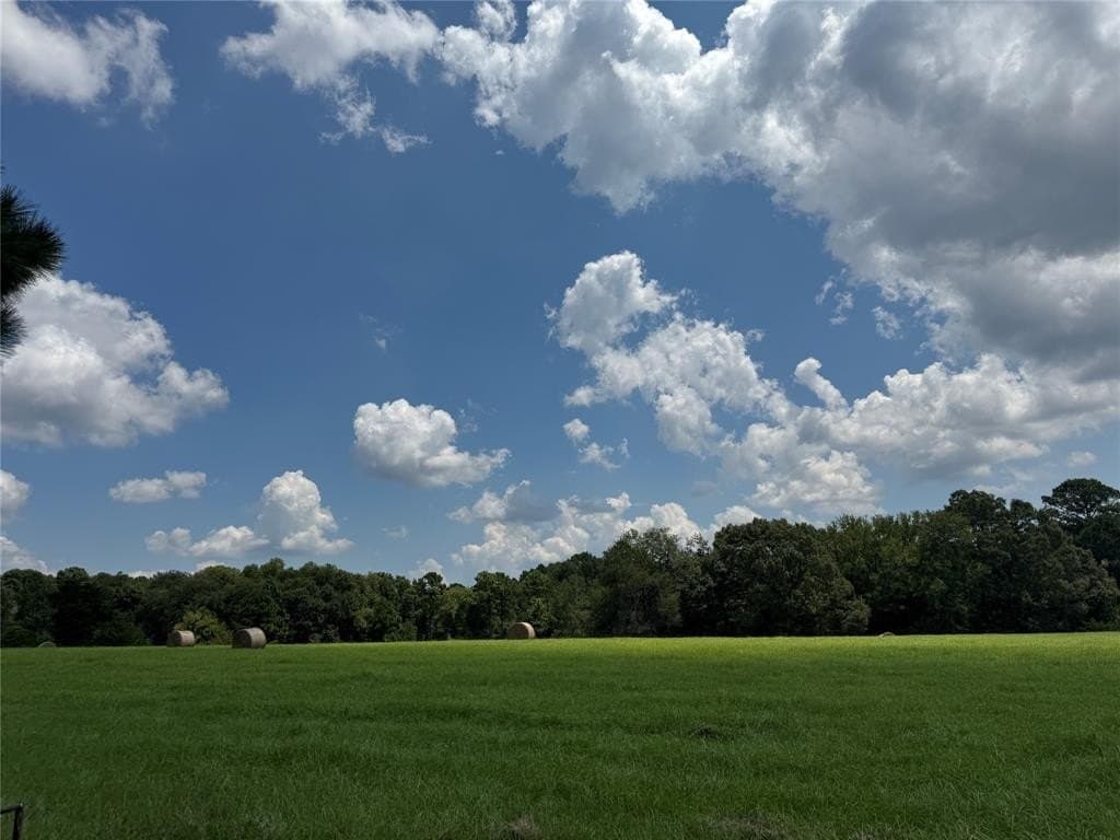 37.39 acres in Cherokee County gallery image 4