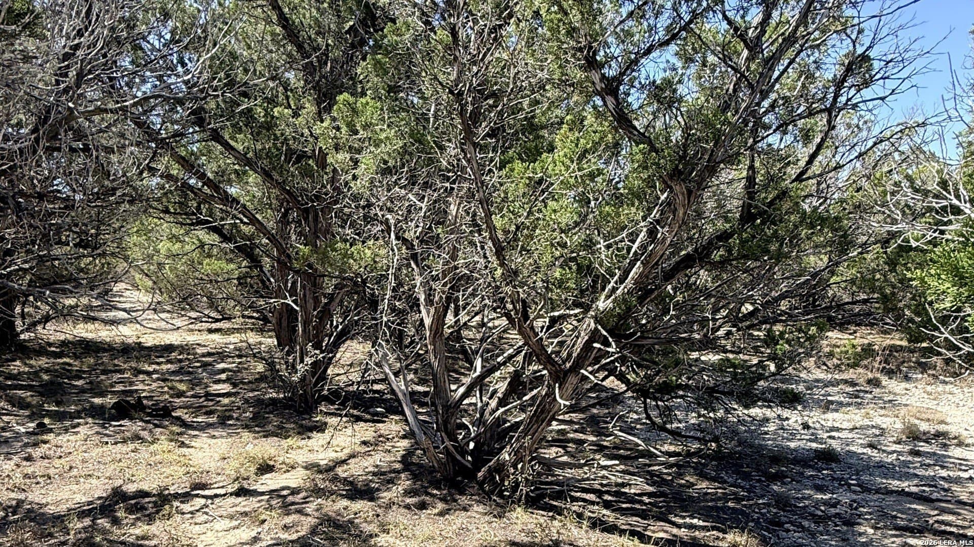 0.05 acres in Bandera County gallery image 4