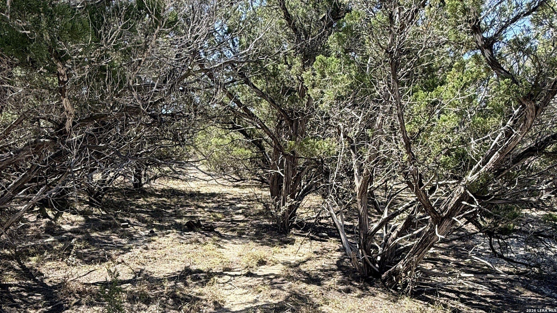 0.05 acres in Bandera County featured view