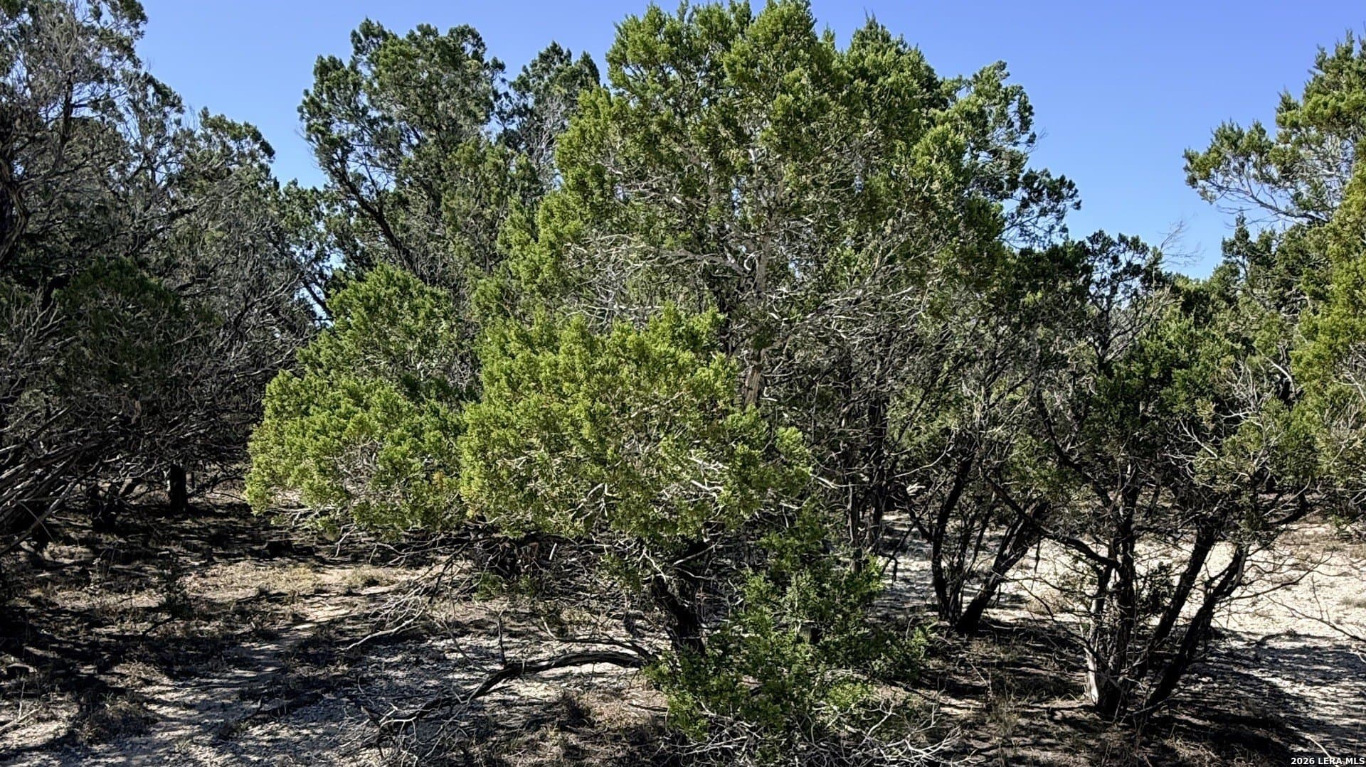 0.05 acres in Bandera County gallery image 3