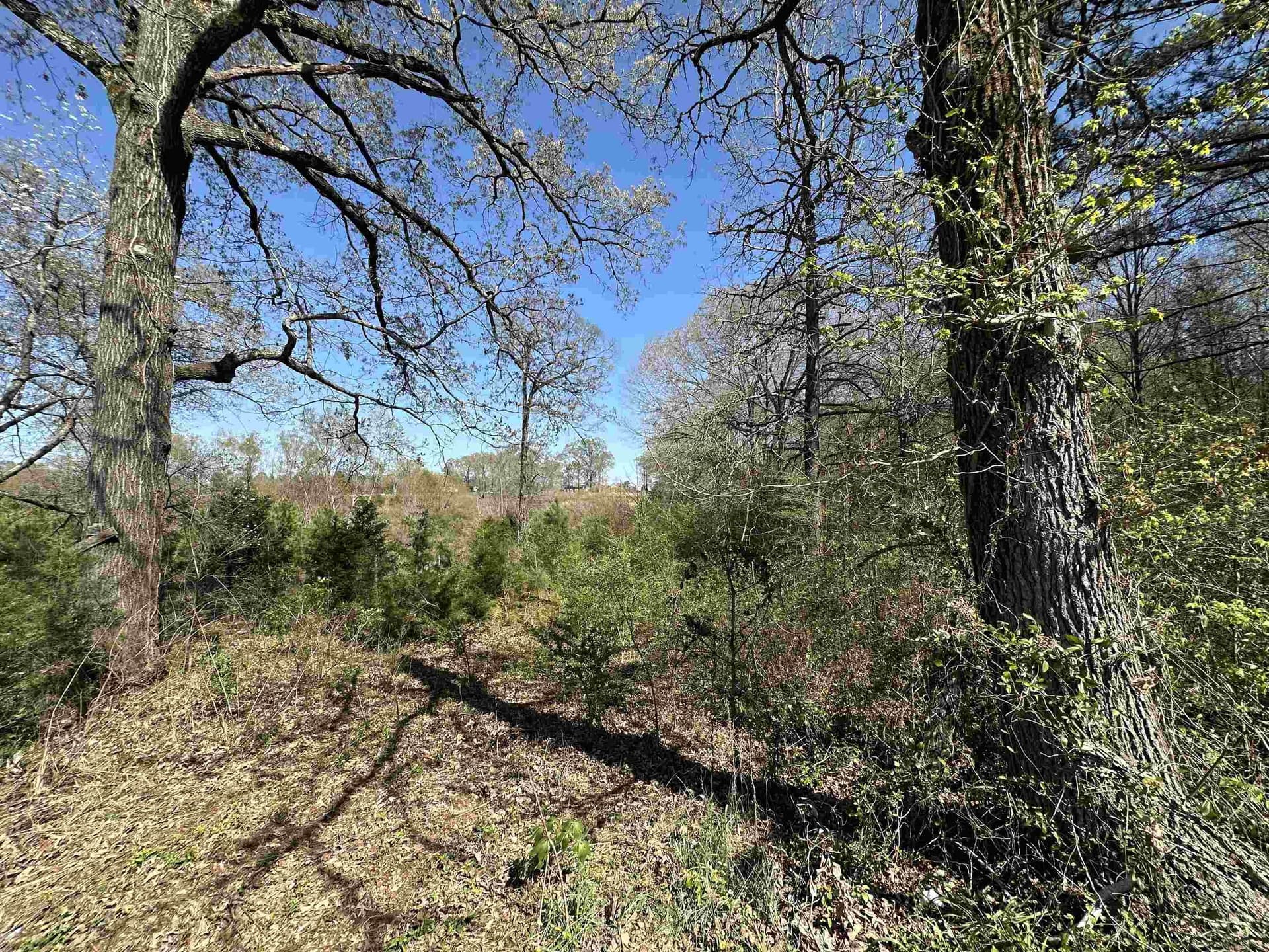 11.06 acres in Morris County gallery image 2