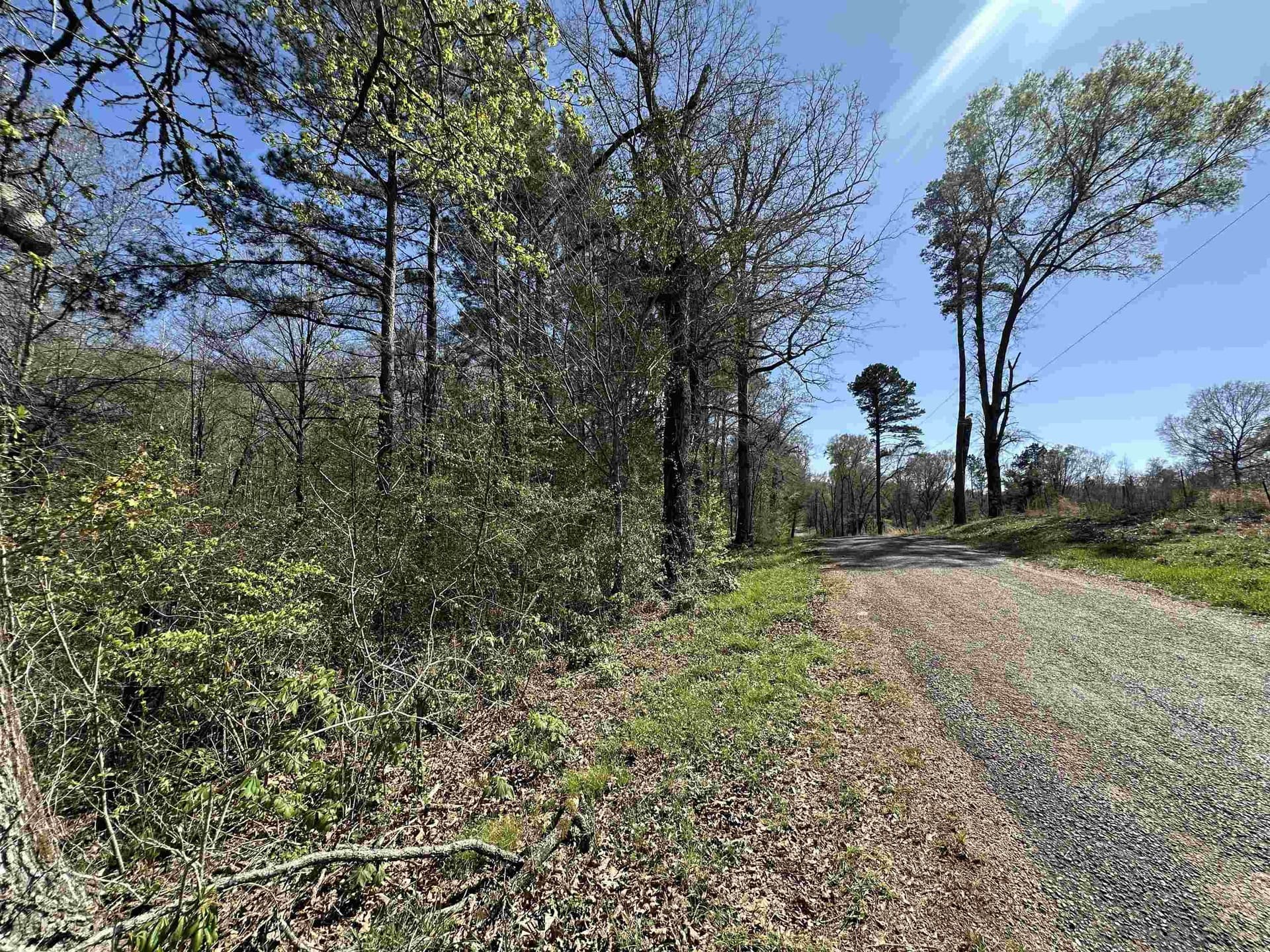 11.06 acres in Morris County gallery image 3