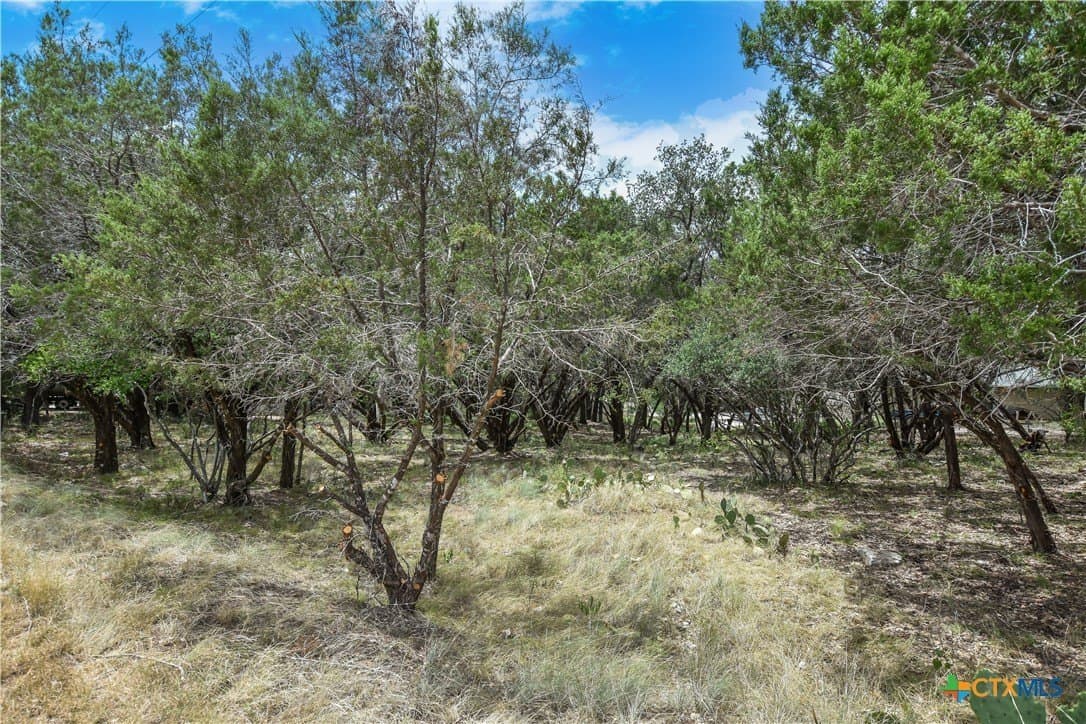 0.24 acres in Travis County featured view