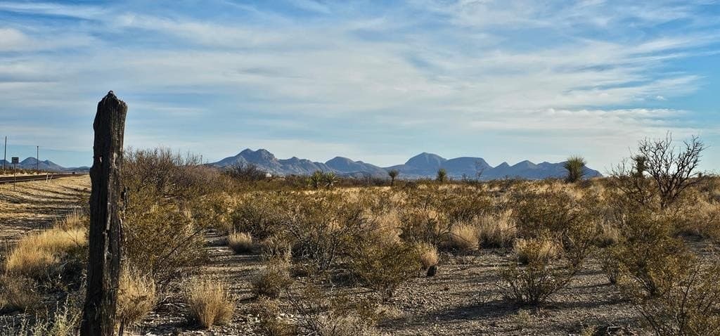 11.5 acres in Brewster County gallery image 3