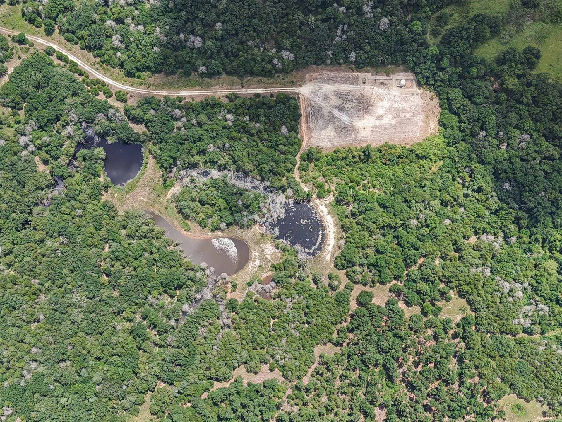 88.41 acres in Freestone County - photo 38