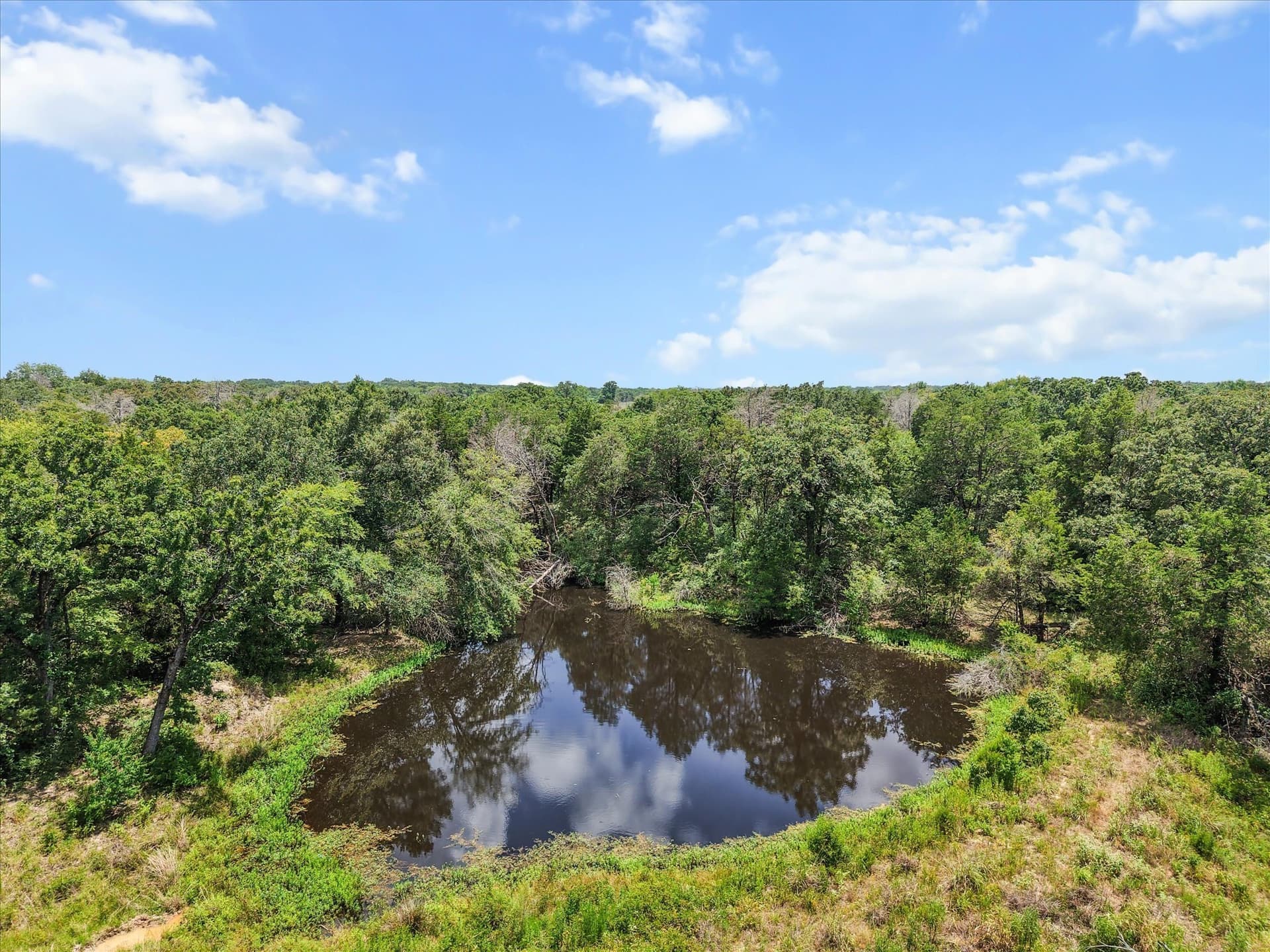 88.41 acres in Freestone County - photo 28