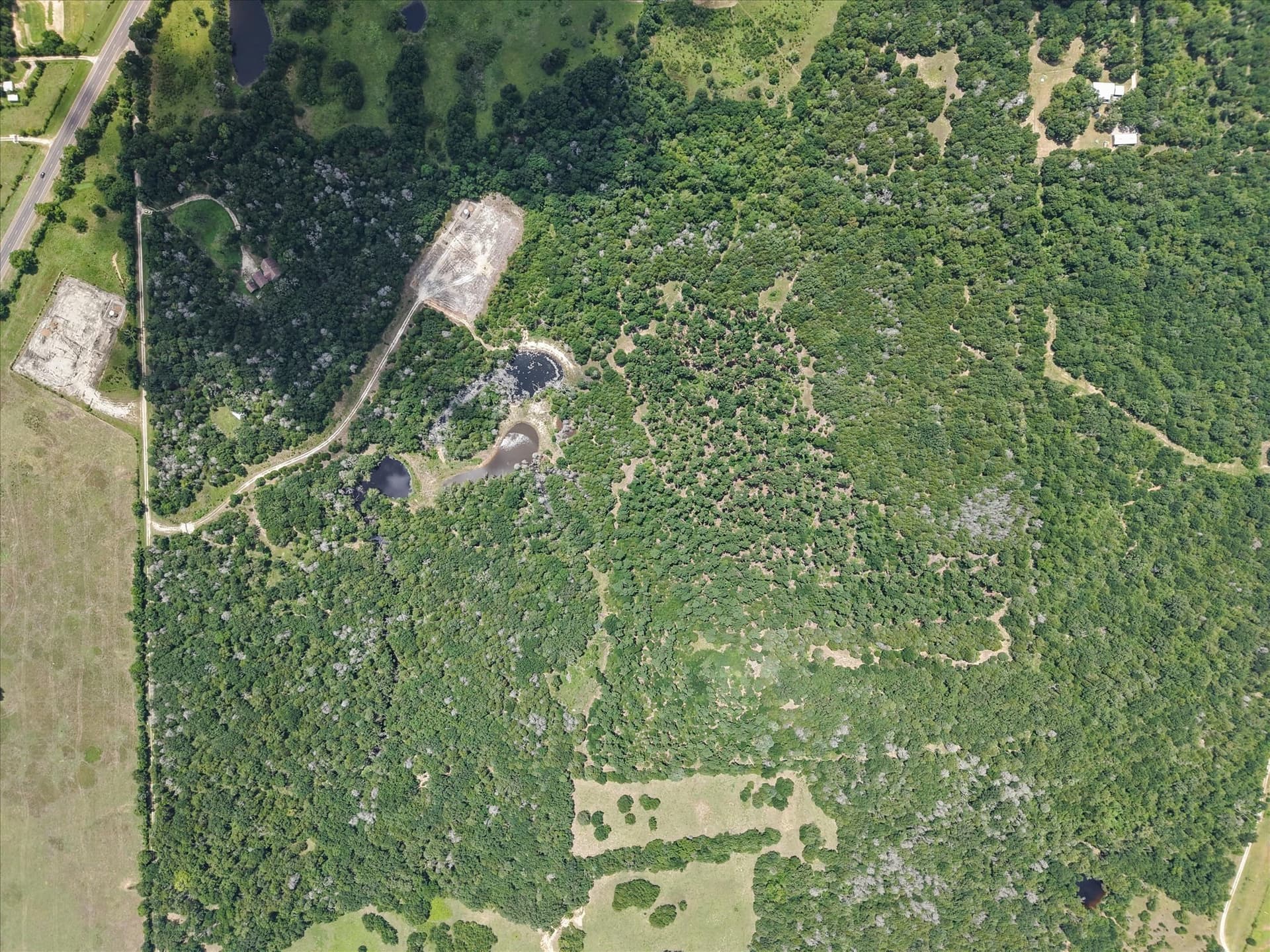 88.41 acres in Freestone County - photo 37
