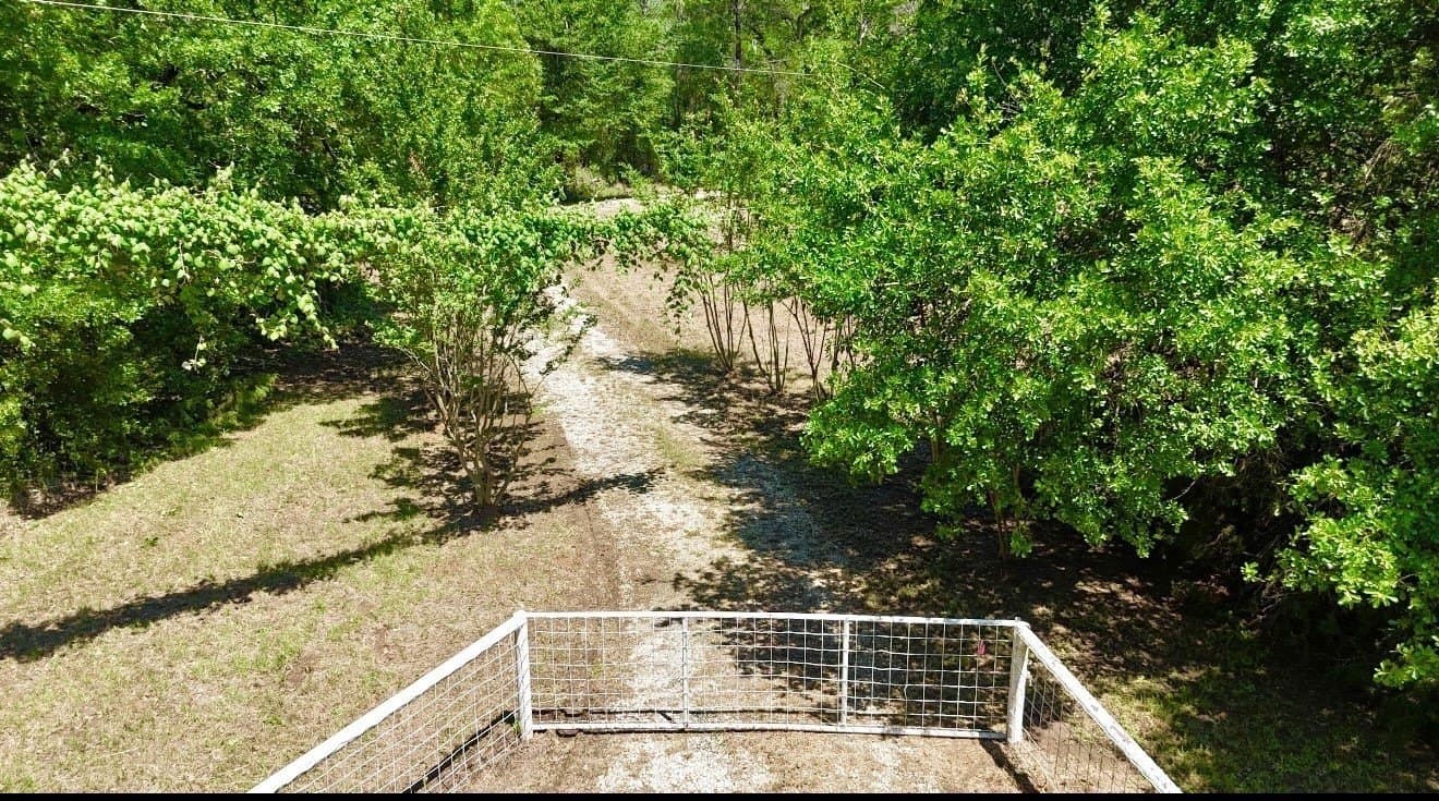 88.41 acres in Freestone County gallery image 2