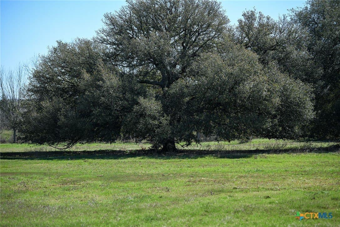 2 acres in Gonzales County - photo 9