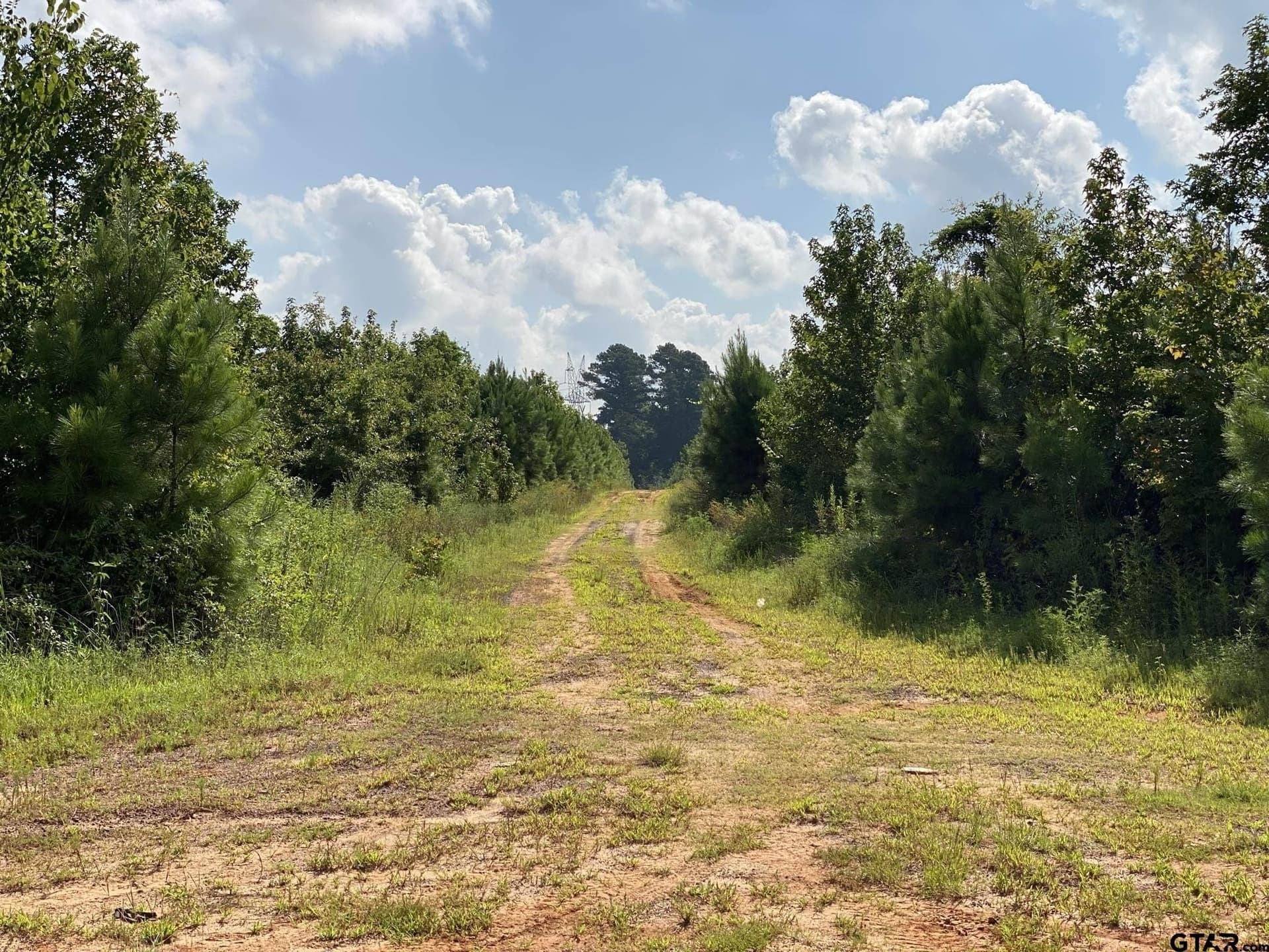 333.85 acres in Rusk County - photo 6