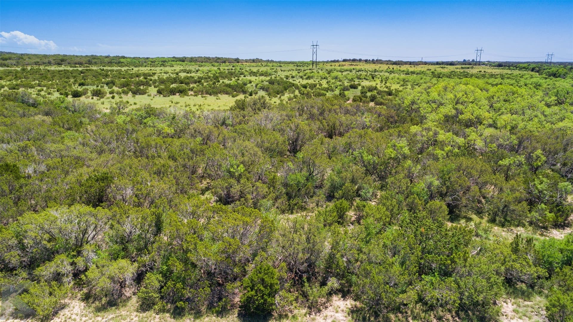 160 acres in Taylor County - photo 5