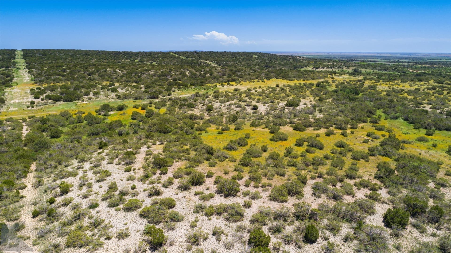 160 acres in Taylor County - photo 10