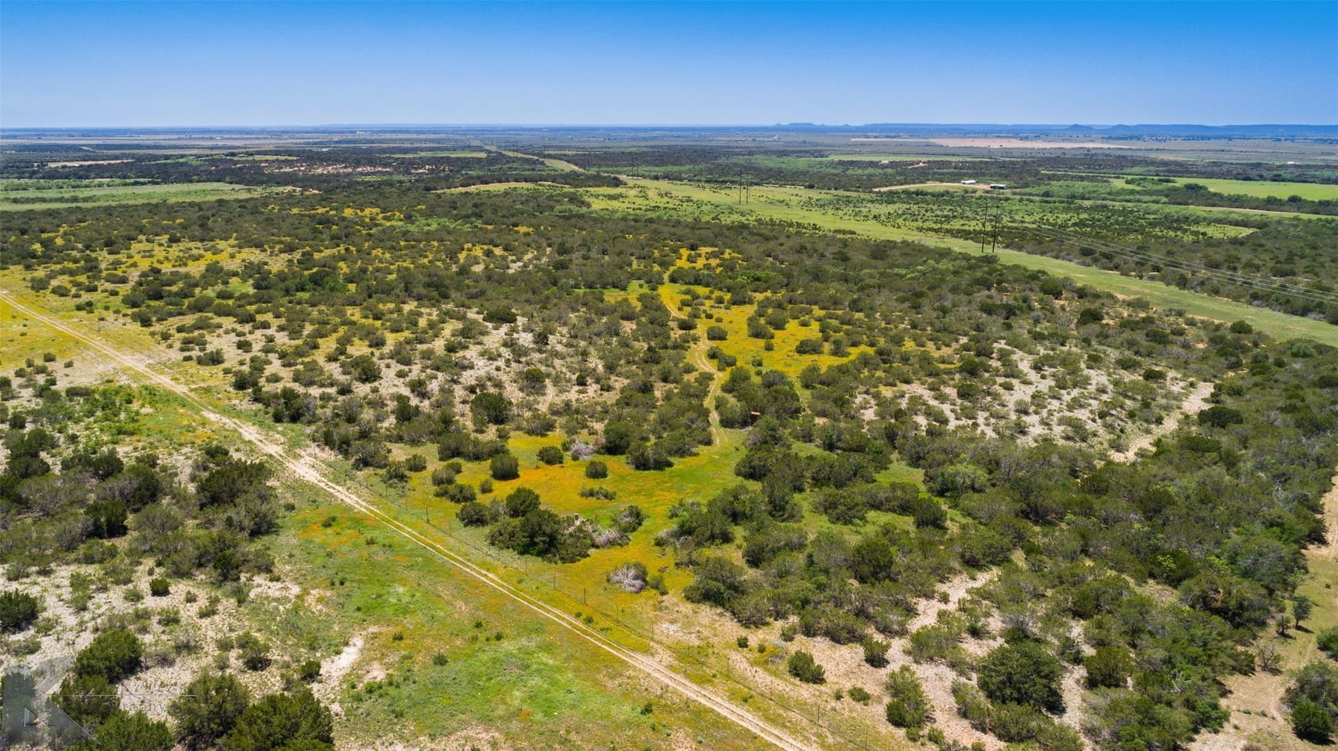 160 acres in Taylor County - photo 12