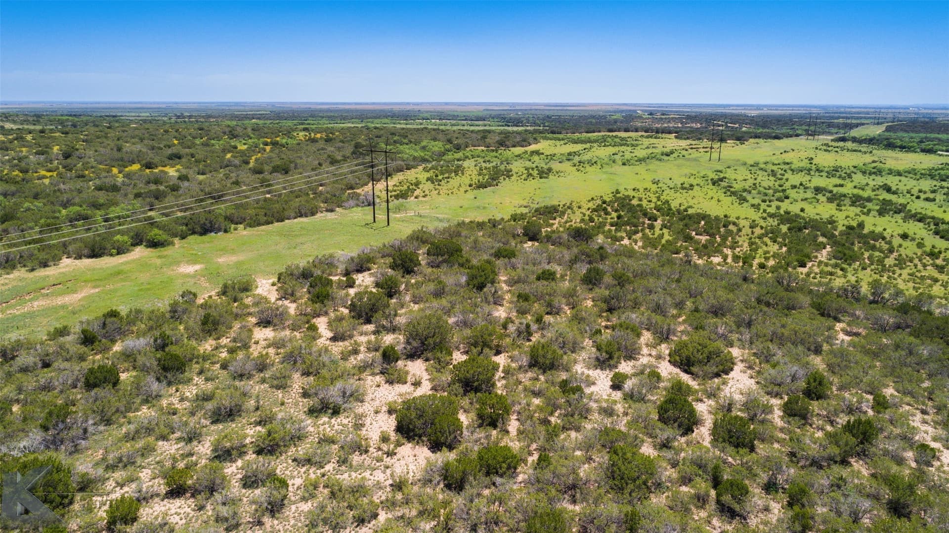 160 acres in Taylor County - photo 7