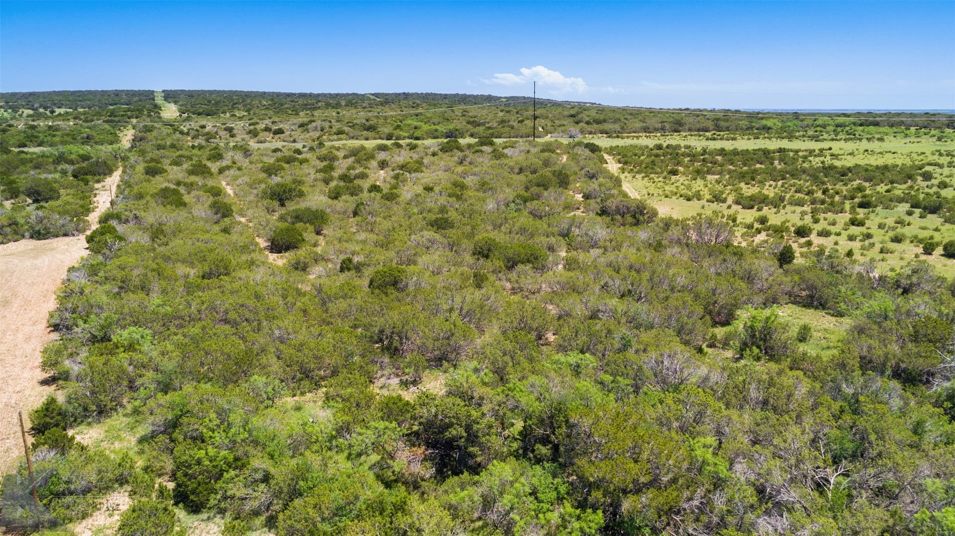 160 acres in Taylor County - photo 6