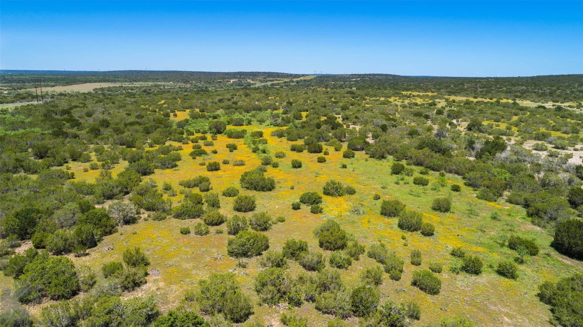 160 acres in Taylor County - photo 25
