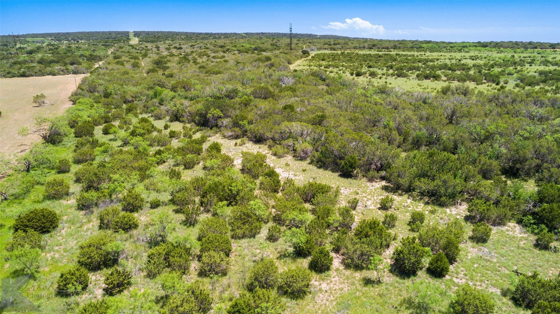 160 acres in Taylor County - photo 4