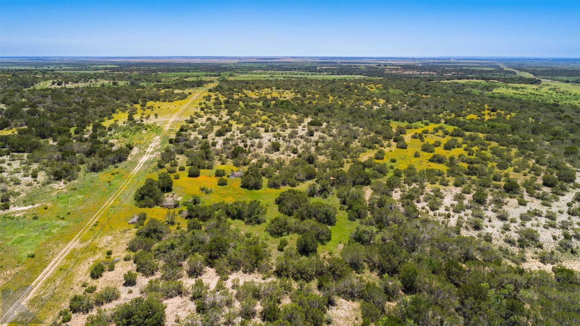160 acres in Taylor County - photo 11