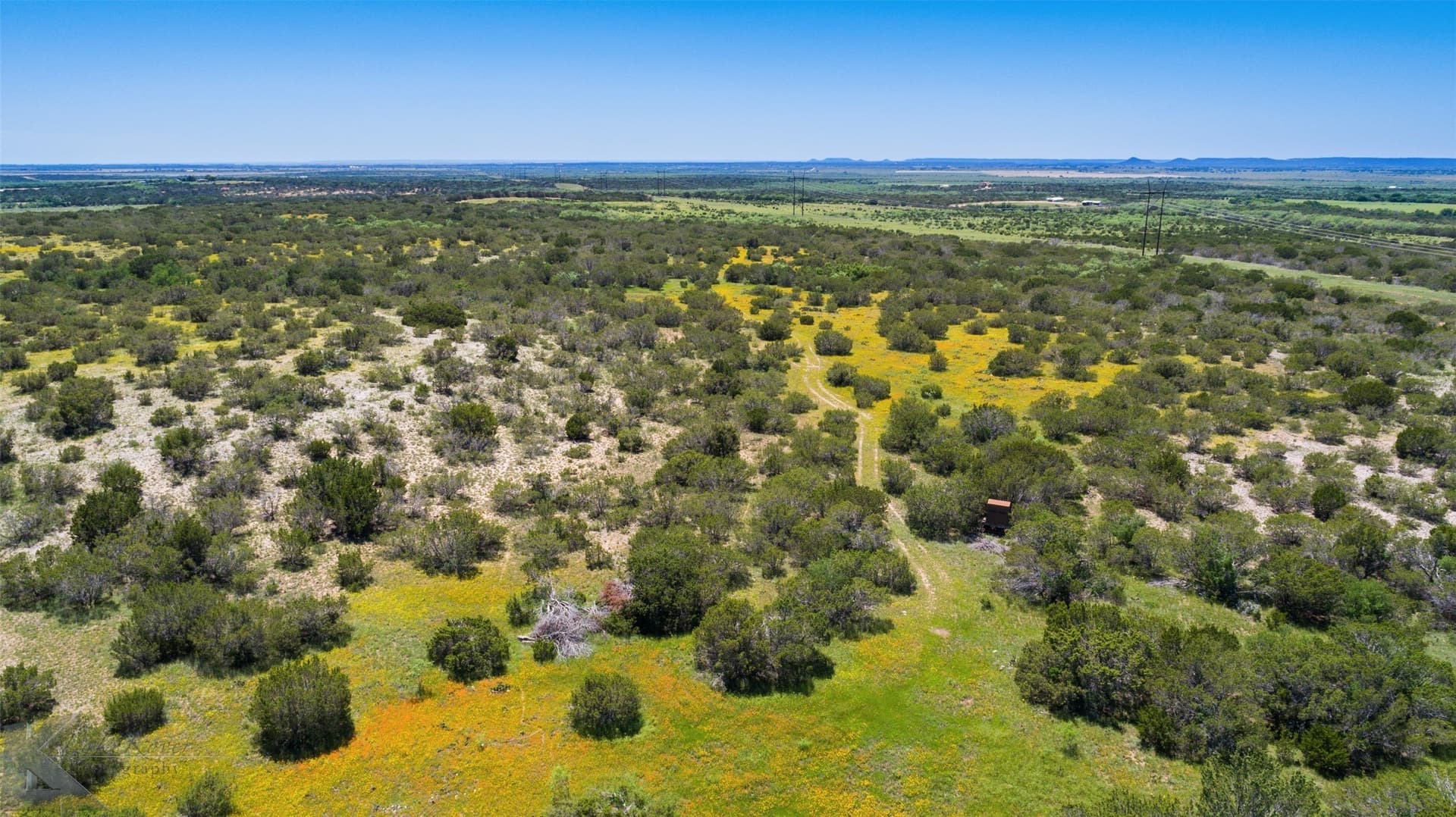 160 acres in Taylor County - photo 13