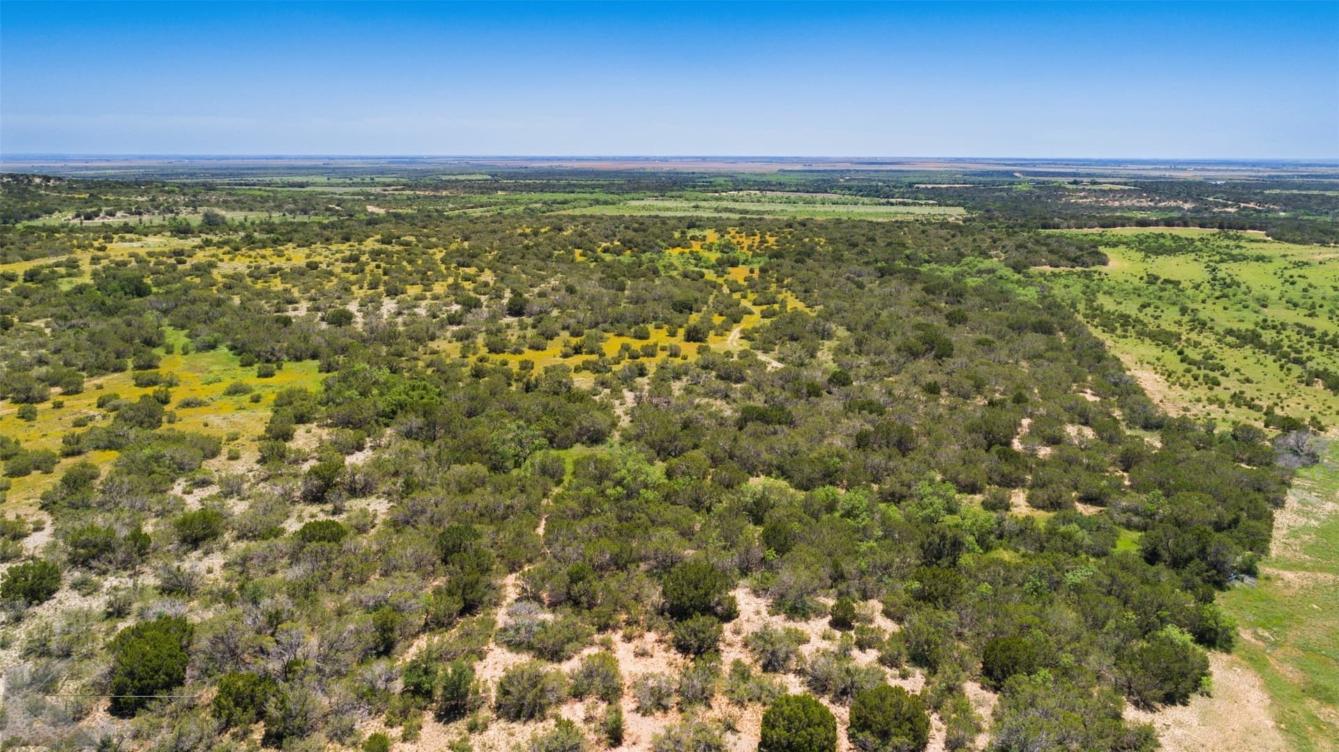 160 acres in Taylor County - photo 9