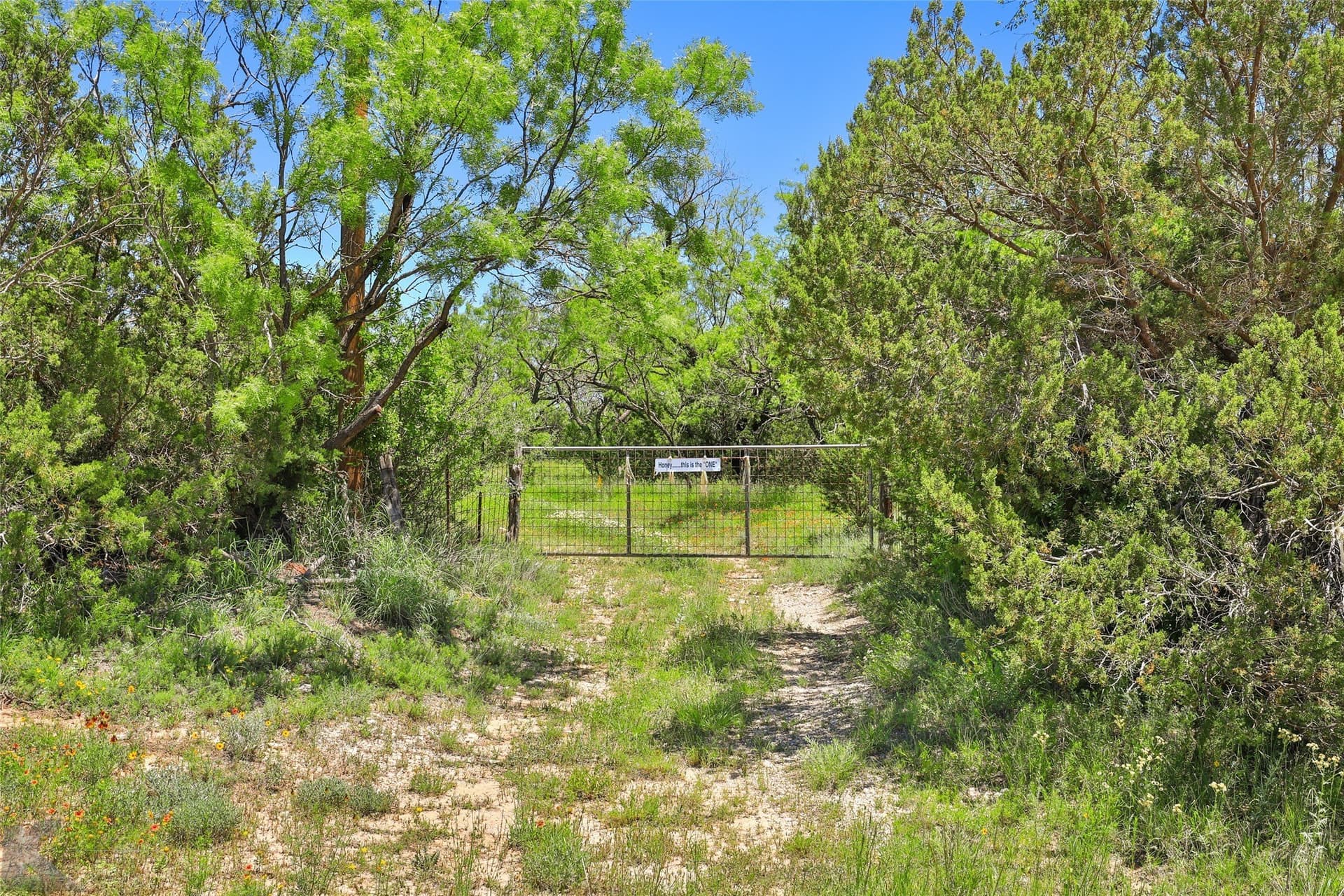 160 acres in Taylor County