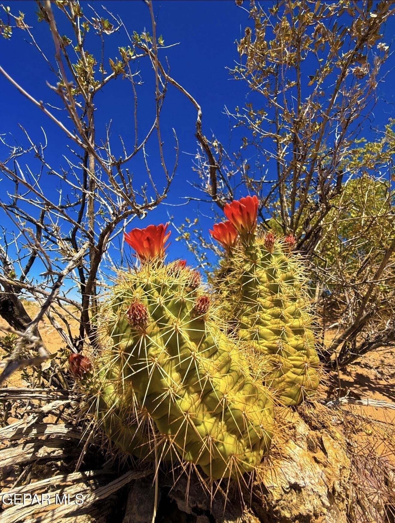 5.95 acres in El Paso County