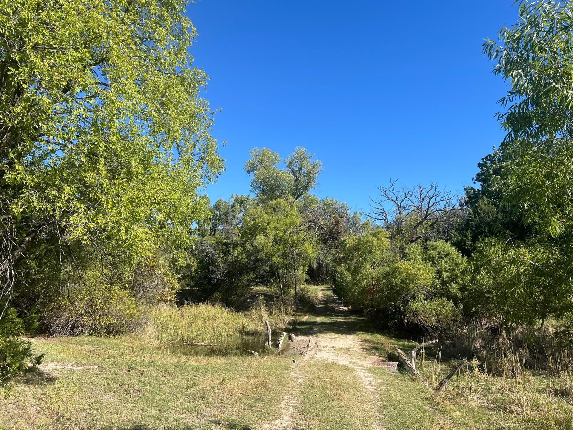 800 acres in Texas County featured view