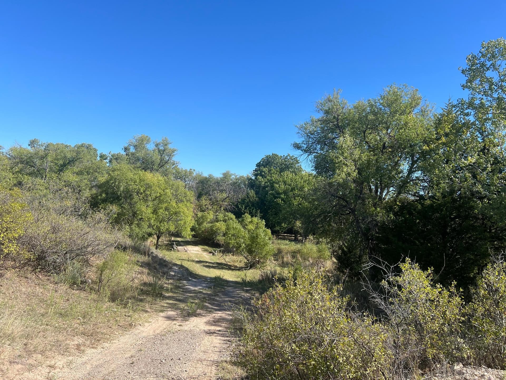 800 acres in Texas County gallery image 4