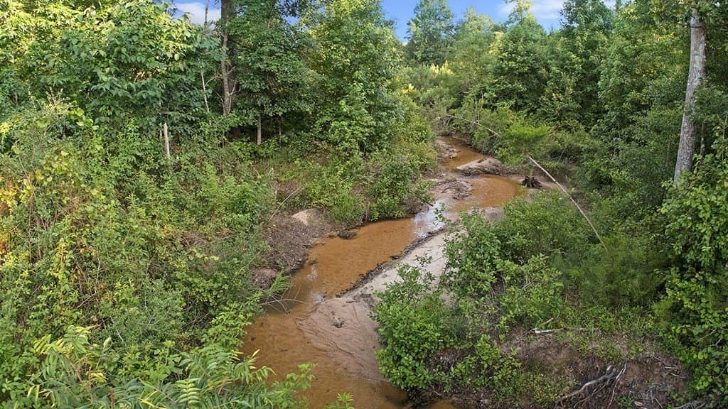5.5 acres in Texas County - photo 6
