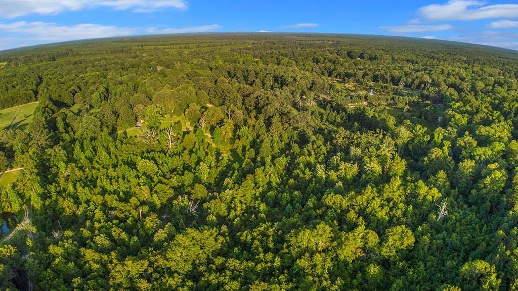 5.5 acres in Texas County - photo 8
