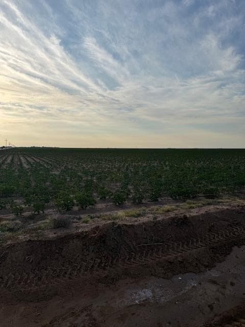 155.78 acres in Lubbock County - photo 6