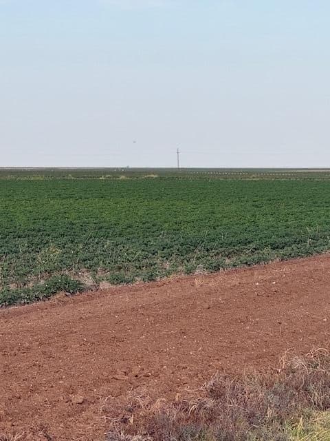 155.78 acres in Lubbock County - photo 2