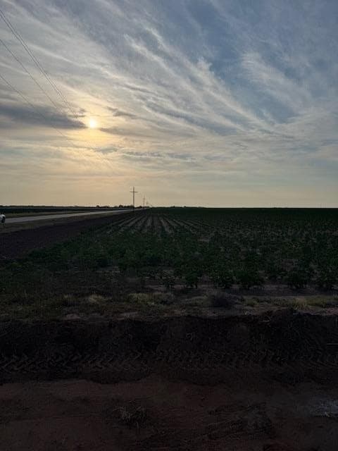 155.78 acres in Lubbock County - photo 5
