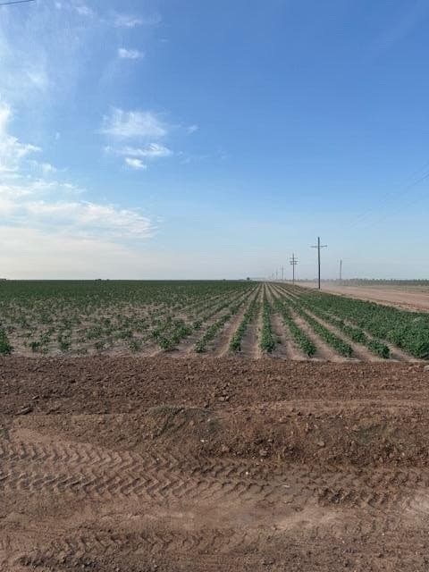 155.78 acres in Lubbock County - photo 10